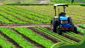 Canada farm worker visa sponsorship for foreigners