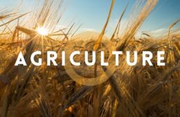 Farm Worker Jobs in Canada with Free Visa 2025 | Apply Now