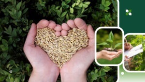 greenhouse farm worker jobs in Canada with free visa